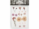 Creativ Company Trockenblumen Gepresste Blüten 20 farbig sortiert