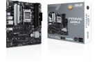 Asus Mainboard PRIME A620M-A-CSM, Arbeitsspeicher Bauform