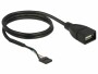 DeLock USB2.0 Pinheaderkabel 60 cm Pfostenbuchse ? USB-A-Buchse