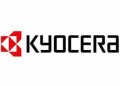 Kyocera IB-110 - Druckserver - USB - 100Mb LAN