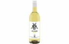 New Cape Wines Cape Paradise Chardonnay WO, 0.75 l