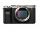 Sony Fotokamera Alpha 7C Body Silber, Bildsensortyp: CMOS
