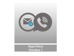 Agfeo Lizenz HyperVoice Voicebox 1, Lizenztyp