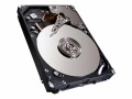 Dell Seagate Enterprise Performance 10K HDD ST600MM0026