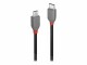 LINDY CROMO - USB-Kabel - USB-C (M) bis