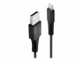 LINDY - Lightning-Kabel - Lightning männlich zu USB