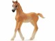 Schleich Spielzeugfigur Horse Club Araber Fohlen, Themenbereich