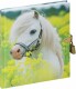 PAGNA     Tagebuch - 20241-15  kleines Pony 128S