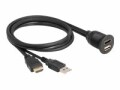 DeLock USB 2.0-Verlängerungskabel HDMI/USB A - HDMI/USB A 1