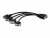 Bild 0 Matrox Quad analog upgrade cable