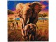 CRAFT Buddy Bastelset Crystal Art Kit Savannah Elephant 30 x