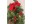Image 2 Dameco Weihnachtsbaum mit Jute-Topf, 15 LEDs, 50 cm, Grün