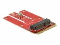 DeLock Mini-PCI-Express-Karte Mini-PCIe - M.2 Key-E USB2.0