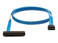 Hewlett Packard Enterprise HPE Kabelkit P06307-B21 ML30 Gen10 Mini SAS Cable Kit