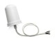 Cisco Aironet - Dual-Band MIMO Wall-Mounted Omnidirectional Antenna