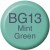 Image 0 COPIC Ink Refill 21076143 BG13 - Mint Green, Kein