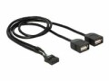 DeLock USB2.0 Pinheaderkabel 2x USB2.0 0.4 m