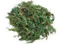 HobbyFun Mini-Utensilien Moss 20g, Hellgrün, Detailfarbe