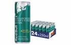 Red Bull Energy Drink Winter Edition, Feige-Apfel 24 x 250 ml
