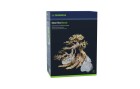 Dennerle Dekoration Bonsai Box, Einrichtung: Wurzeln & Gestein