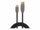 LINDY Anthra Line - USB-Kabel - USB-C (M