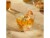 Bild 1 Papstar Fingerfood-Schale 50 ml, 50 Stück, Transparent