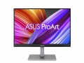 Asus Monitor ProArt PA248CNV, Bildschirmdiagonale: 24.1 "