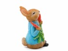 Jardinopia Cane Companions Peter Rabbit, Mehrfarbig, Zubehörtyp