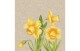 Paper + Design Servietten Daffodil