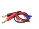 E+P EP Ladekabel 4 mm Bananenstecker zu EC2, Kabeltyp