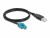 Bild 1 DeLock USB-Kabel HSD Z (f-m) Spezial - USB A