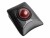 Bild 8 Kensington Trackball Expert, Maus-Typ: Trackball, Maus Features