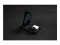 Bild 23 BELKIN Wireless Charger Boost Charge 3-in-1 schwarz, Induktion