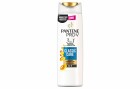 Pantene Pro-V 3in1 Shampoo Classic Care 250, 250 ml