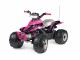 PegPerego Quad Corral T-Rex 330W 12 V Pink, Marke