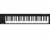 Bild 0 Nektar Keyboard Controller Impact GX61, Tastatur Keys: 61