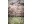 Bild 8 Greemotion Gartenstuhl San Diego, 53 x 56 cm, Braun