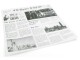 Sier Sandwich-Beutel News Paper 30 cm x 30 cm