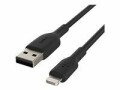 BELKIN USB-2.0-Kabel Boost Charge
