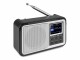 Audizio DAB+ Radio Parma Silber, Radio