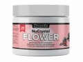 Numatic Staubsauger Deo NuCrystal Flower, Produktart