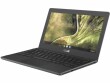 Asus Chromebook C204MA-GJ0243-1, Prozessortyp: Intel Celeron