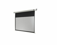 Celexon Motorleinwand Eco 220x124cm 16:9, Leinwandtyp