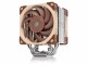 Noctua