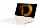 Acer ConceptD 7 SpatialLabs Edition (CN715-73G) 3D-Display