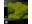 Bild 3 Blaze Codemasters Cartridge 1, Für Plattform: Evercade, Genre