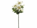 Botanic-Haus Kunstblume Edelweiss, 22 cm, 3er Set, Produkttyp