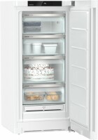 Liebherr Gefrierschrank GN 125 EEV - E