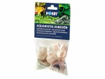 Hobby Aquaristik Dekoration Sea Shells Set, L, 5 Stück, Einrichtung