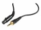 Immagine 0 AKG Kabel Kopfhörer ? 3 Meter, Detailfarbe: Schwarz